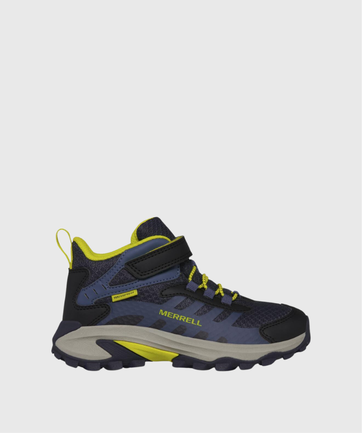 MK267543 MERRELL 1