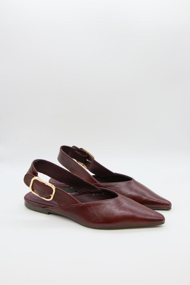 Zapato Rohs 2