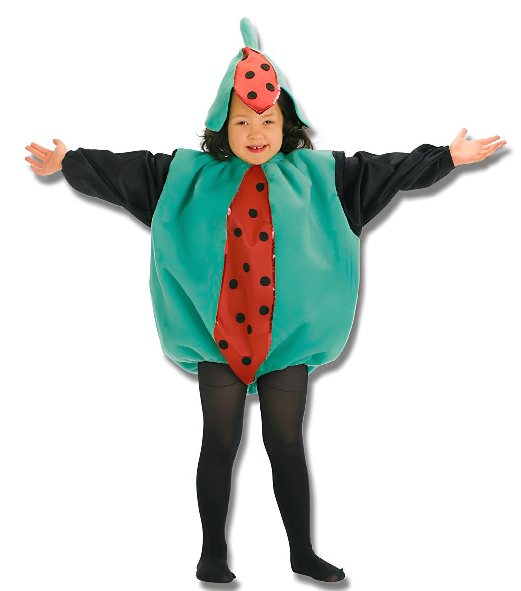 Disfraz de Sandia Infantil 1