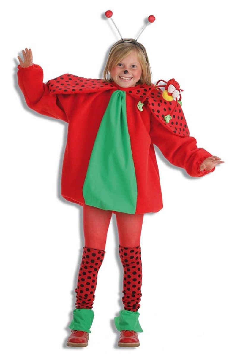 Disfraz Bichita Mariquita Infantil Niña 1