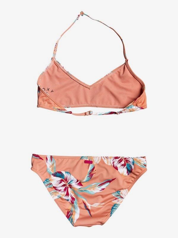 Bikini Roxy Top Triangulo 2