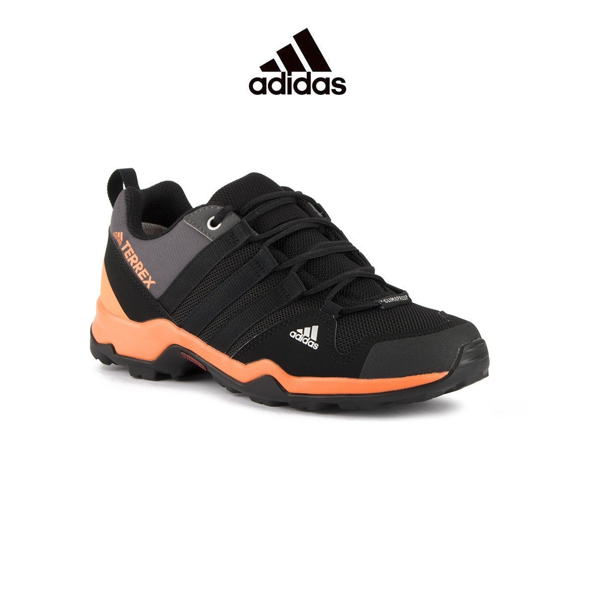 Zapatilla Terrex Adidas 1