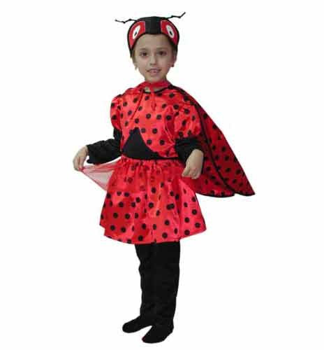 Disfraz Mariquita Infantil Niña 1