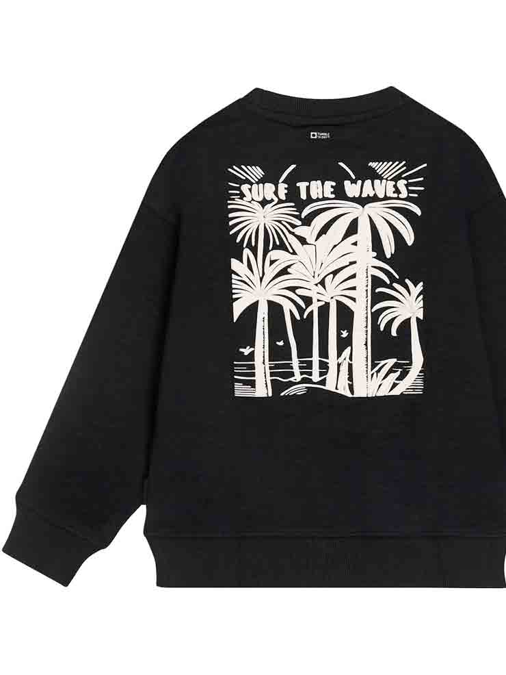 SUDADERA NIÑO TUMBLE´N DRY 1