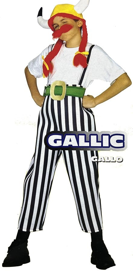 Disfraz Galo Obelix Infantil Niño 1