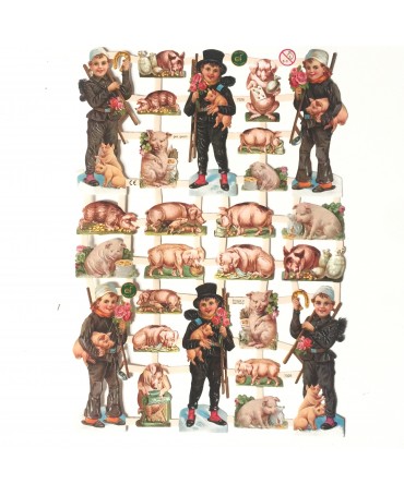 CROMOS ALEMANES Cerditos 1