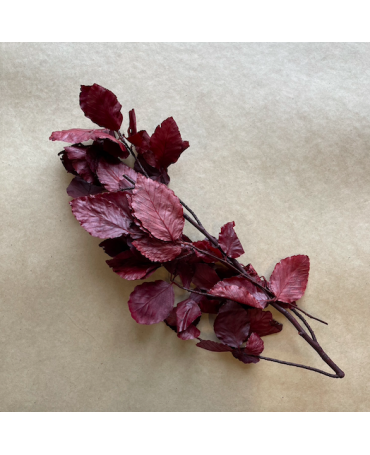 Hoja Nofo Preservada Roja rama 20 gr aprox 2