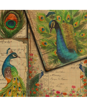 STICKERS VINTAGE Pavo Real 1