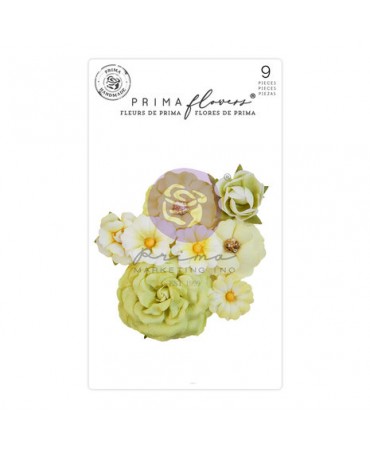 FLORES PRIMA Flowers Postales de Paradise April Showers (8 piezas) 1