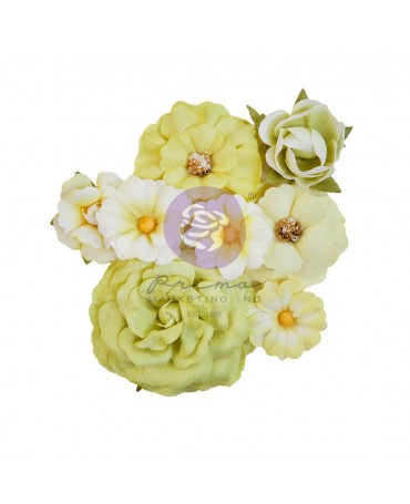FLORES PRIMA Flowers Postales de Paradise April Showers (8 piezas) 2