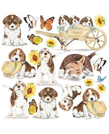 PAPEL VELLUM CIAO BELLA Farmhouse Garden 2
