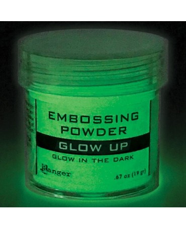 POLVOS EMBOSSING RANGER Glow Up 1 1