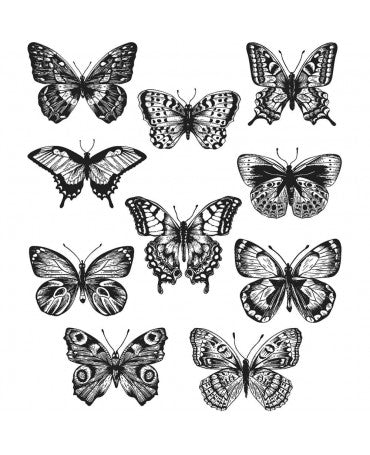 Sello Caucho TIM HOLTZ Flutter 1