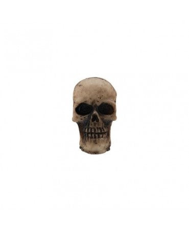 Tim Holtz Halloween Skulls (10pcs) 2