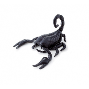 Escorpion trudi 1