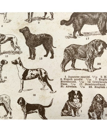PAPEL ENCUADERNAR ROSSI Dogs 2 ud 1