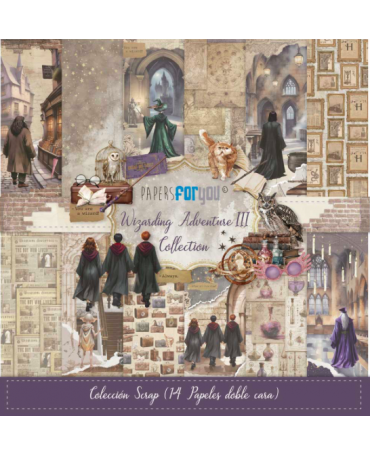 COLECCIÓN 20x20 PFY Wizarding Adventure III 1