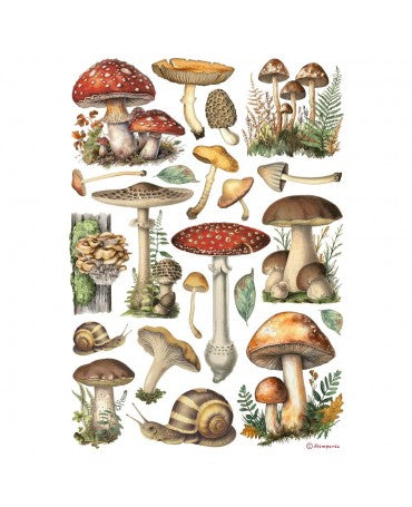 Papel arroz Stamperia A4 MUSHROOMS 1