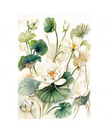 PAPEL ARROZ CALAMBOUR 32x45 RP 80 1