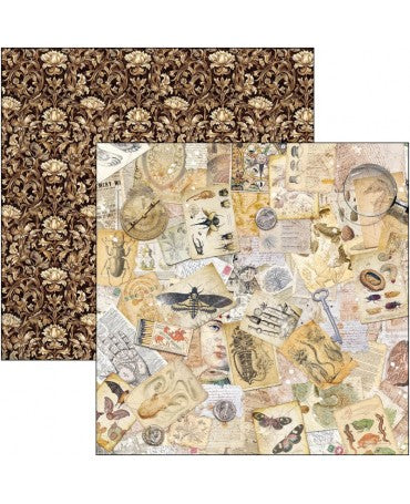 COLECCIÓN 30x30 CIAO BELLA Cabinet of curiosities 2