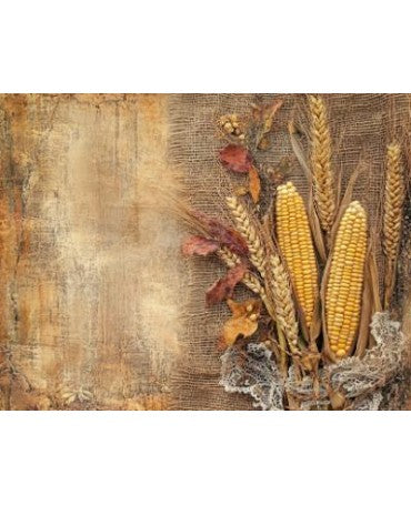 Papel Seda A4 Rustic Autumn Mazorcas 1