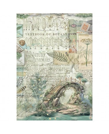 Papel arroz Stamperia A4 Herbarium Silvae Bridge 1