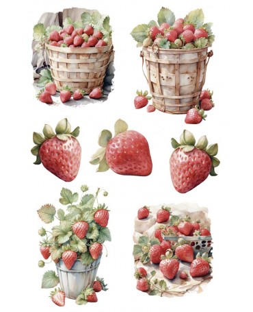 Transfer Rub On PFY 20x30 - 3 hojas Fresas 2