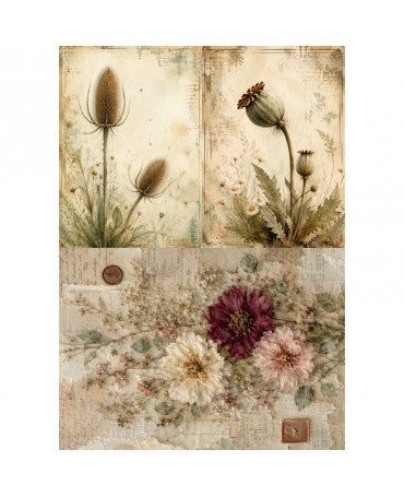 Papel Arroz SOFT A3 SPA6024 1