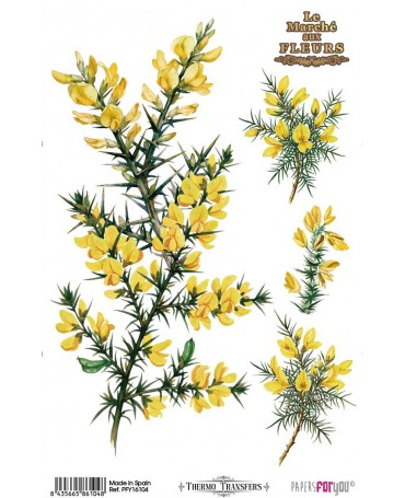 Transfer Multisuperficie PFY 20x30 Flores Amarillas 1