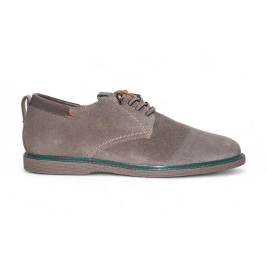 Cetti-1351 1