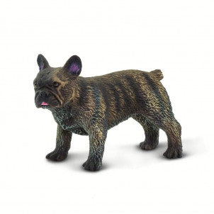 Bulldog frances safari 2