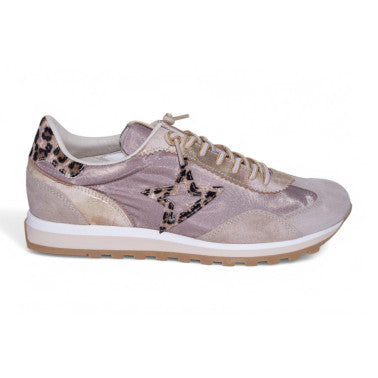 Cetti-1259 1
