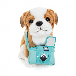 Peluche star 23cm studio pets 2