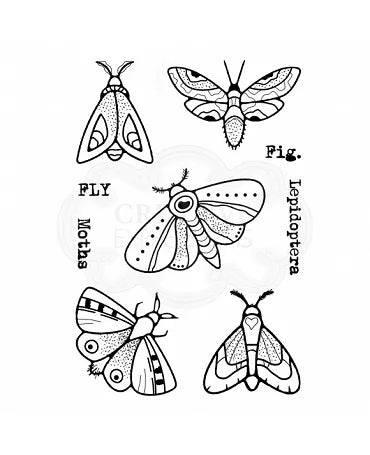 SELLO WOODWARE CLEAR SINGLES Moths 1