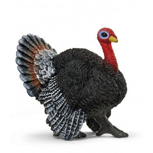 Pavo schleich 1