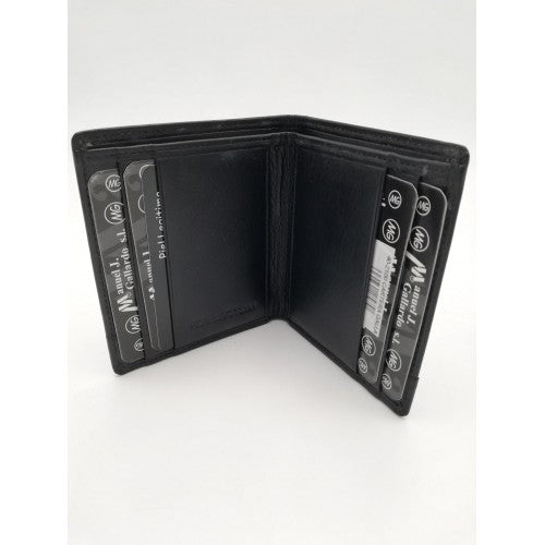 40-2100 cartera gallardo 2