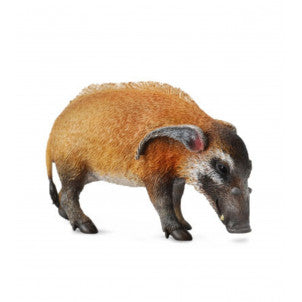 Patamoquero rojo collecta 2