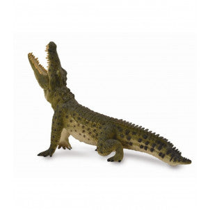 Cocodrilo del nilo collecta 1