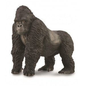 Gorila de montaña collecta 1