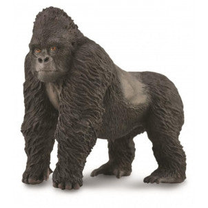 Gorila de montaña collecta 2
