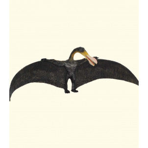 Ornithocheirus collecta 2