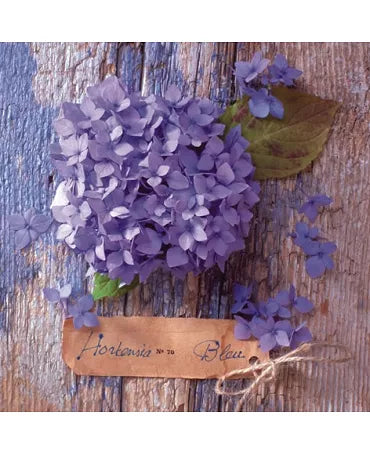 Servilletas HORTENSIA BLEU 1
