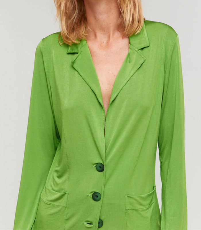 Blazer tere verde aldo martins 1