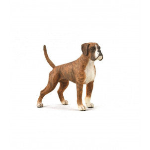 Perro boxer collecta 2