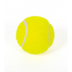 Pelota iniciacion cesta-punta 1