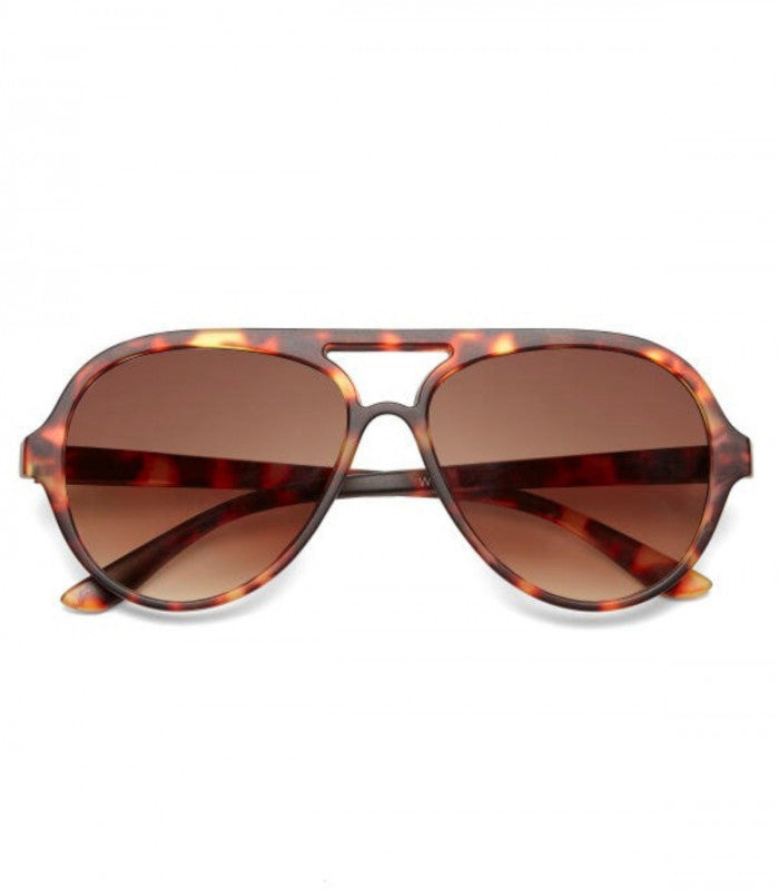Gafas de sol okkia alessio classic havana 1