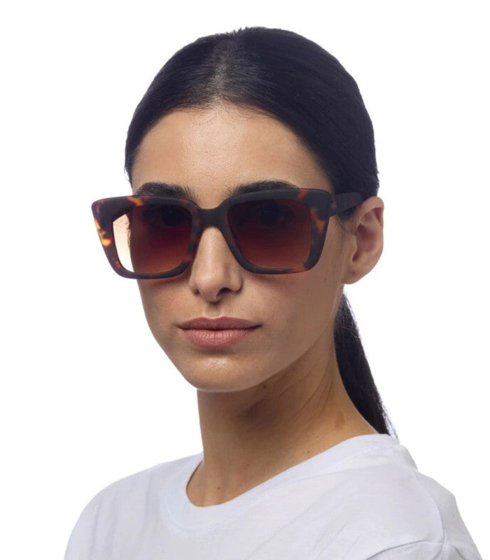 Gafas de sol okkia elba classic havana 2