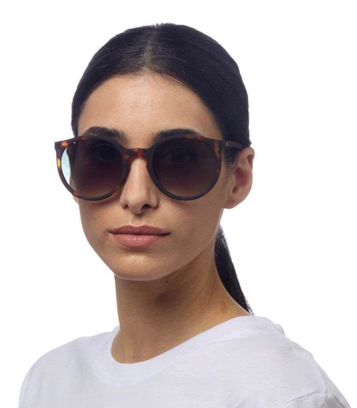 Gafas de sol okkia berlina classic havana 2