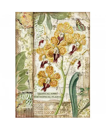 Papel arroz Stamperia A4 Amazonia orchid 1