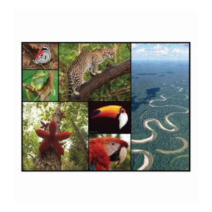 Puzzle 48 pzas amazonas wwf 2